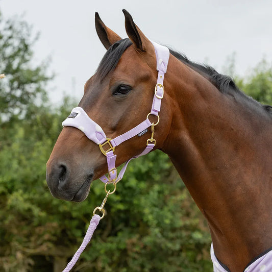 Supreme Products Dotty Fleece Head Collar & Lead Rope Lavish Lilac