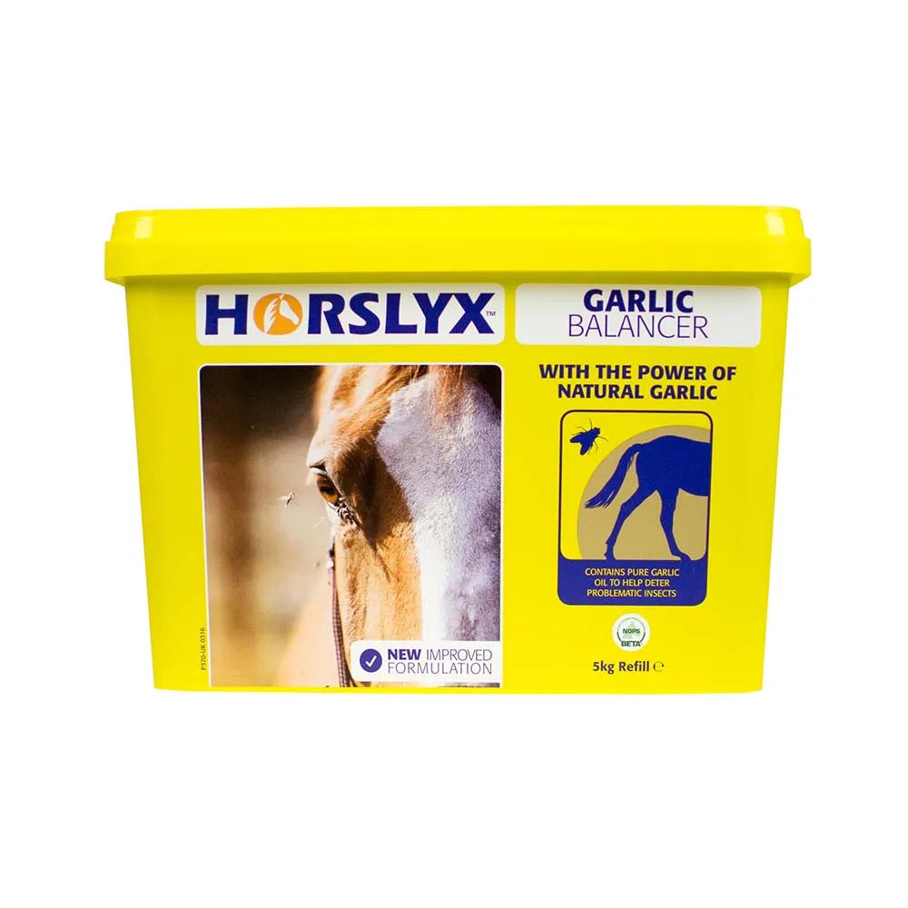 Horslyx Garlic