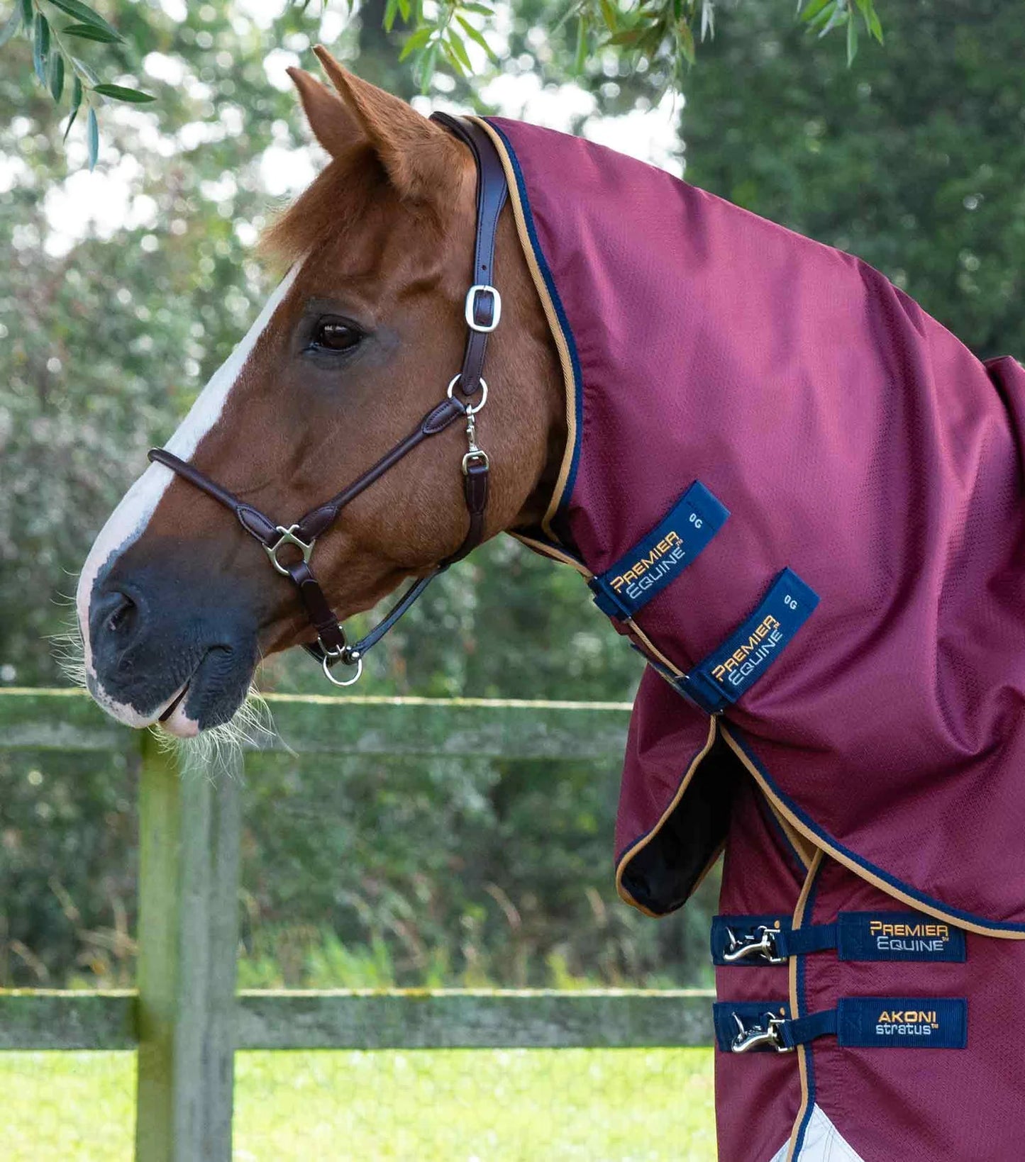 Premier Equine Akoni 0g Turnout Rug with Classic Neck Cover Wine