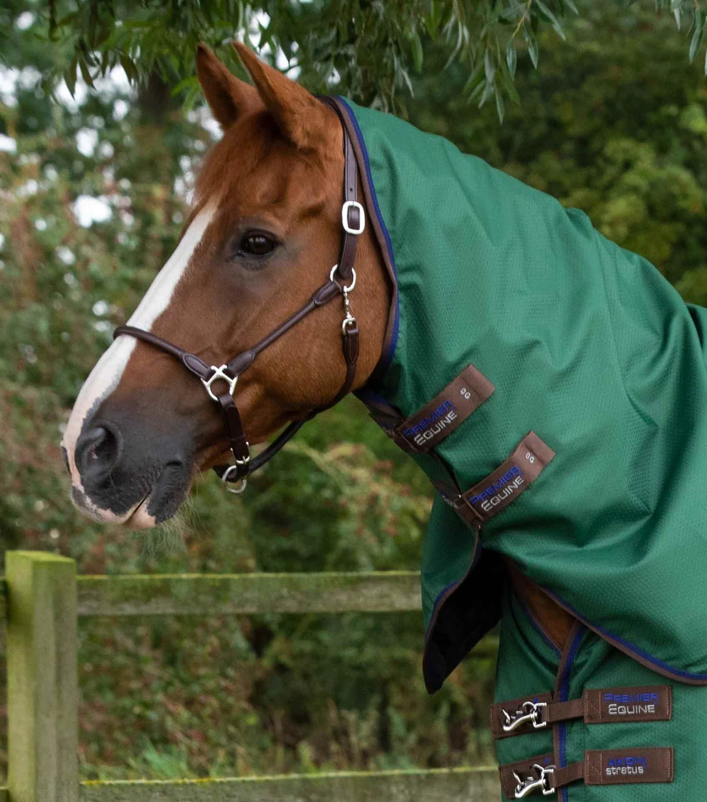 Premier Equine Akoni 0g Turnout Rug with Classic Neck Cover Green