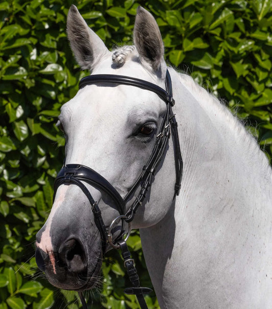 Premier Equine Artana Snaffle Bridle Black