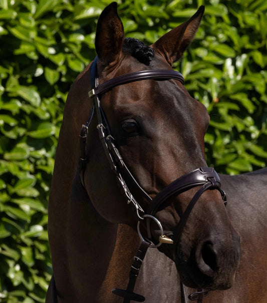 Premier Equine Artana Snaffle Bridle Brown