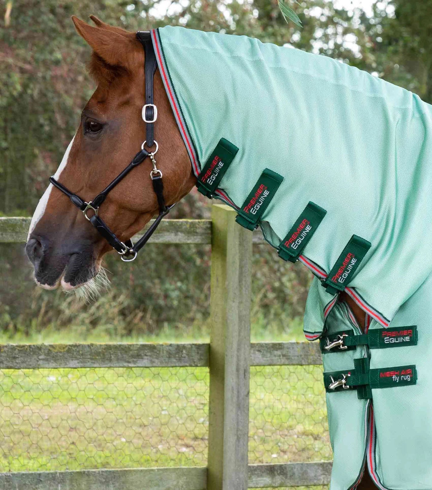 Premier Equine Combo Mesh Air Fly Rug with Surcingles Green