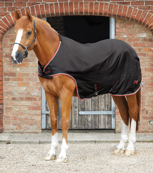 Premier Equine Horse Walker Rug 100g Black