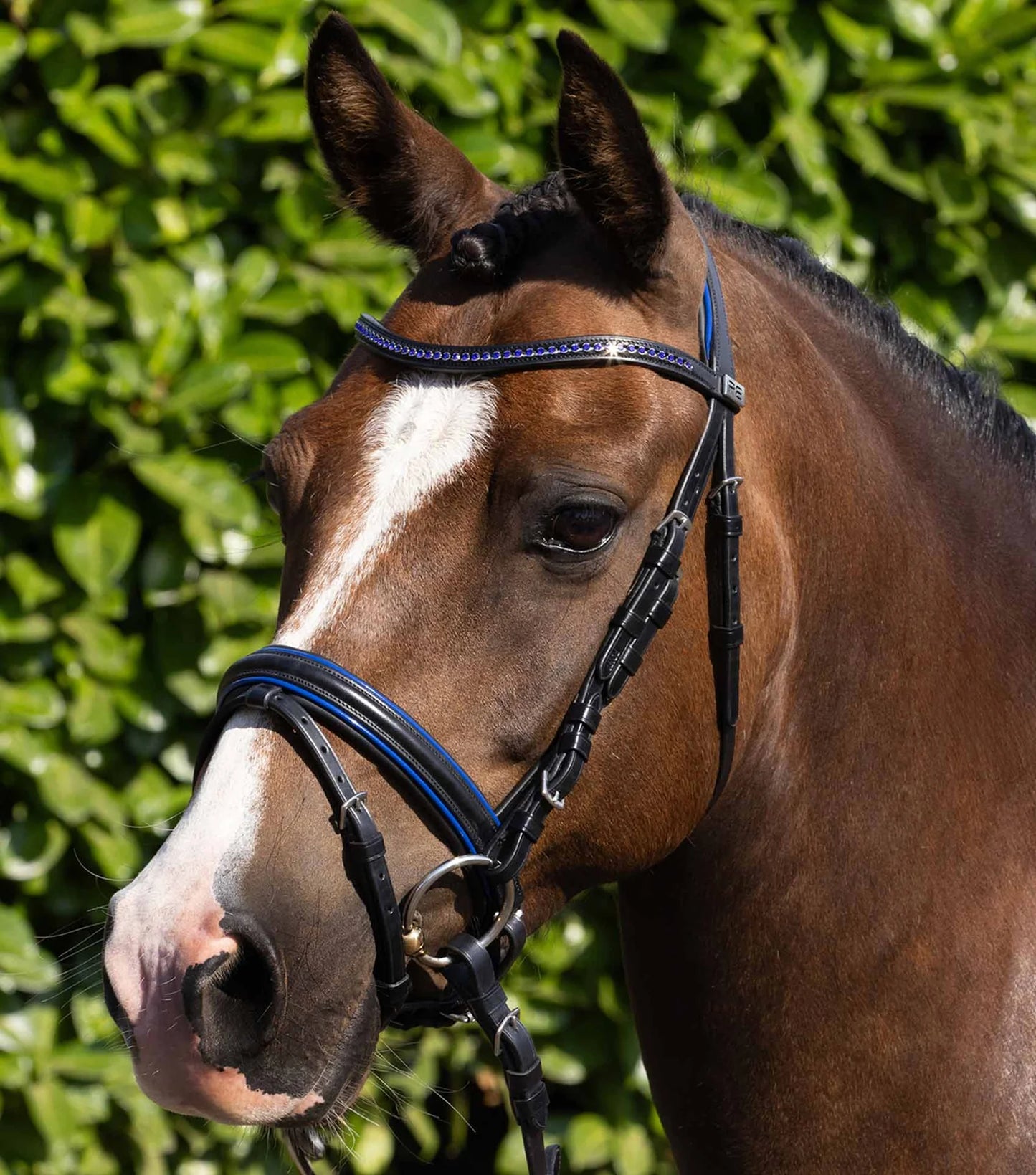 Premier Equine Mineo Pony Snaffle Bridle Black