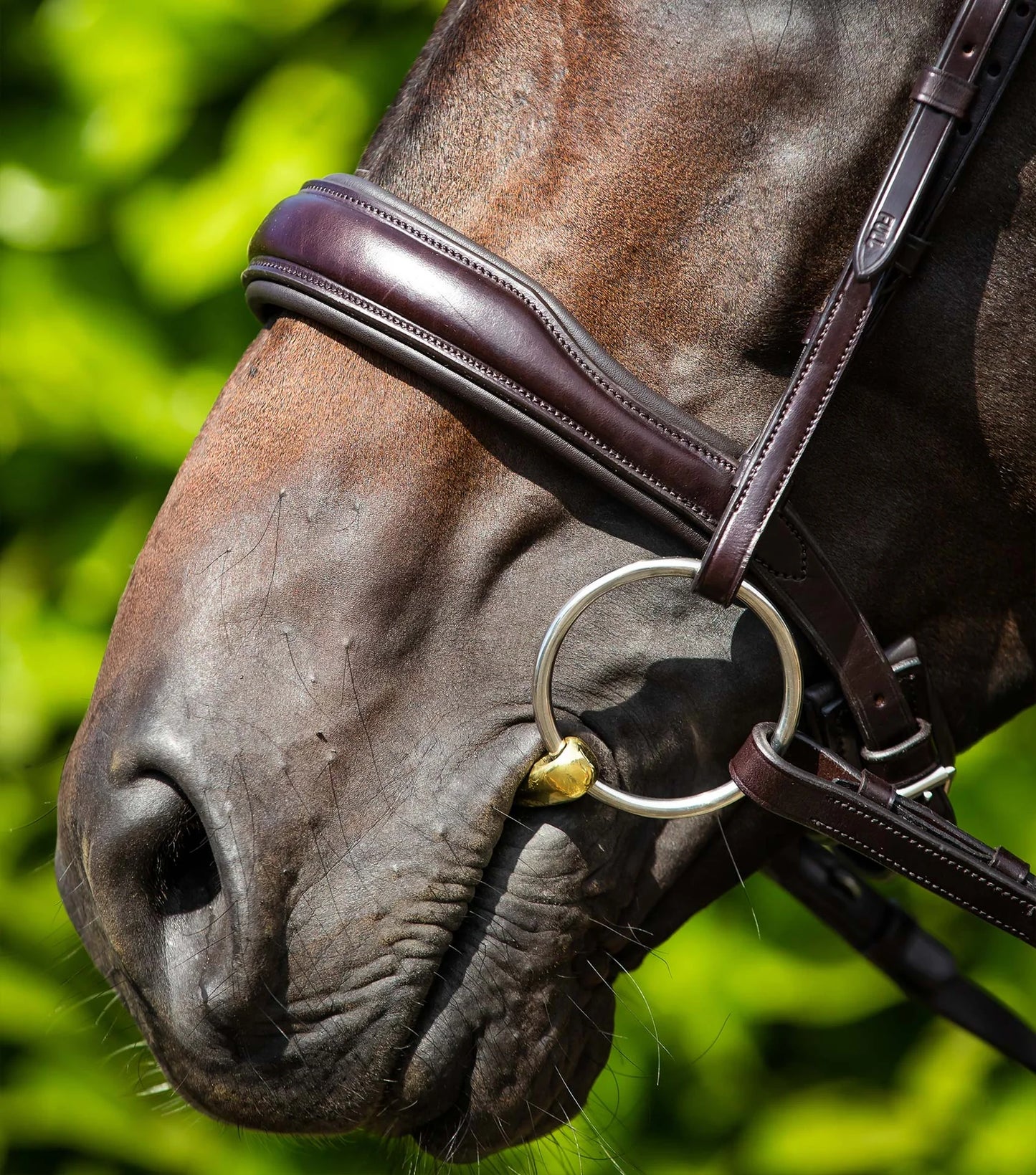 Premier Equine Verdura Anatomic Snaffle Bridle Brown