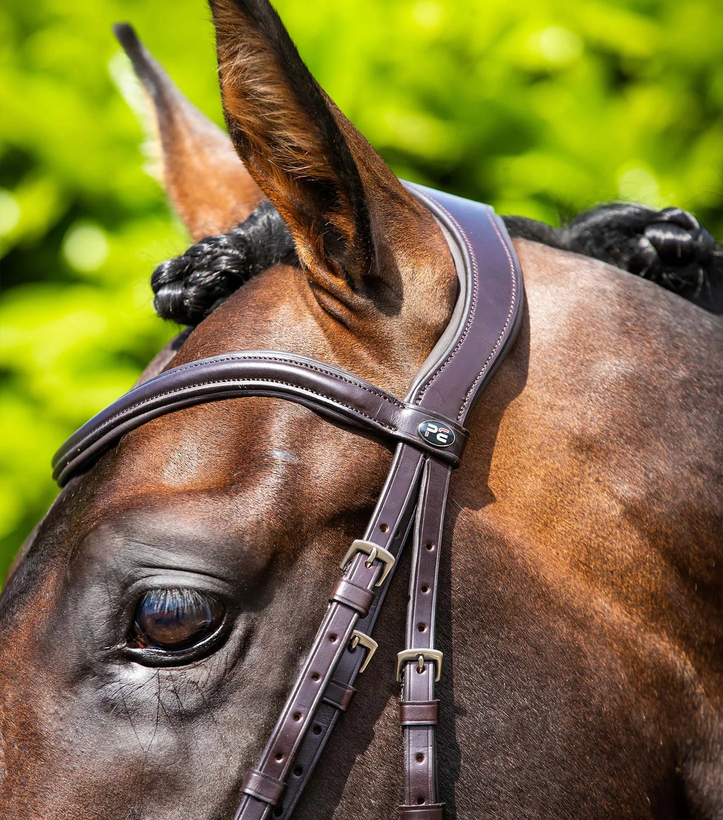 Premier Equine Verdura Anatomic Snaffle Bridle Brown